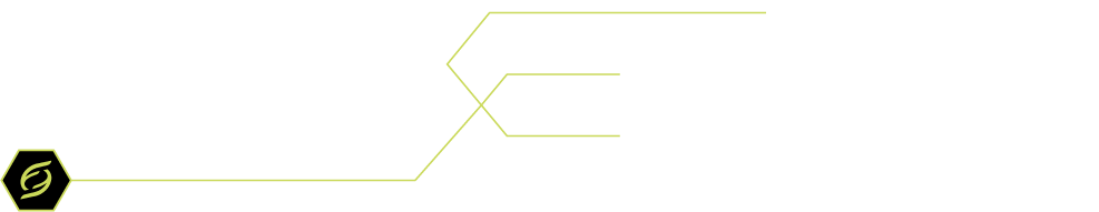 生体力学に基づき開発されました。3つのアーチを補正して運動能力がアップします。現役アスリートやコーチが認めたインソールです。