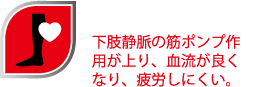 筋ポンプ作用